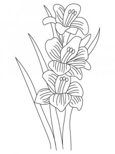 Gladiolus coloring page 7 - Free printable