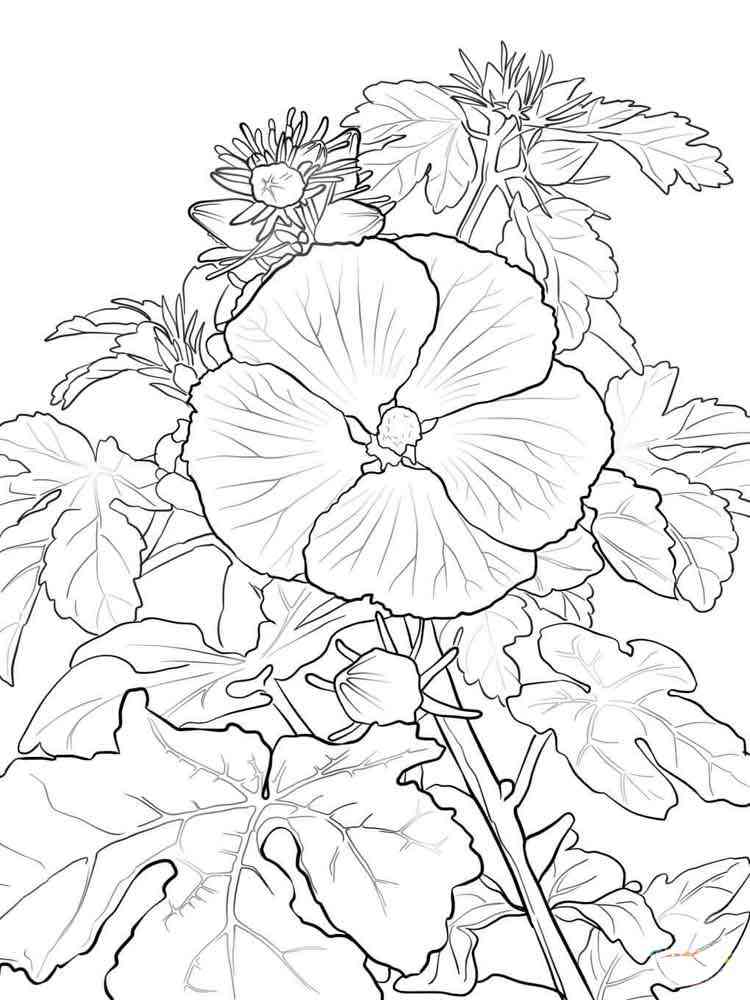 Download Hibiscus Flower coloring pages. Download and print ...