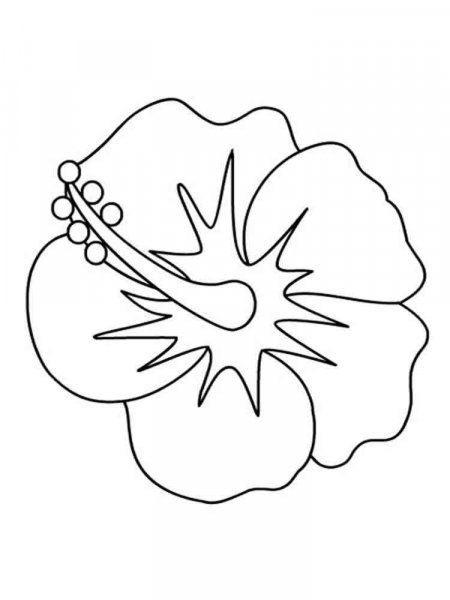 Hibiscus coloring pages