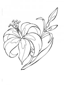 Lilies coloring page 23 - Free printable