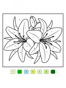 Lilies coloring page 25 - Free printable