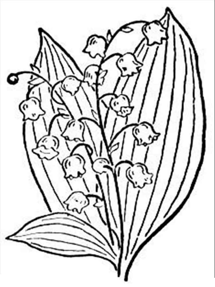 Lily of the valley coloring pages. Download and print Lily of the