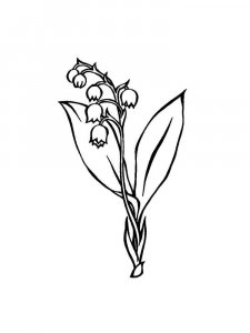 Lily of the Valley coloring page 14 - Free printable