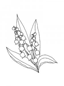 Lily of the Valley coloring page 19 - Free printable