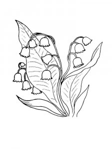 Lily of the Valley coloring page 21 - Free printable