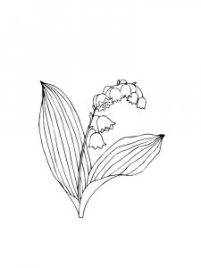 Lily of the Valley coloring page 24 - Free printable