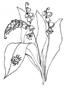 Lily of the Valley coloring page 11 - Free printable