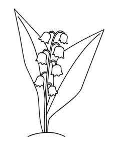 Lily of the Valley coloring page 12 - Free printable