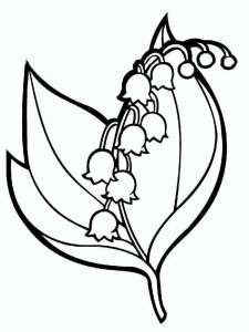 Lily of the Valley coloring page 4 - Free printable