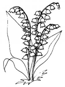 Lily of the Valley coloring page 6 - Free printable
