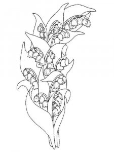 Lily of the Valley coloring page 9 - Free printable