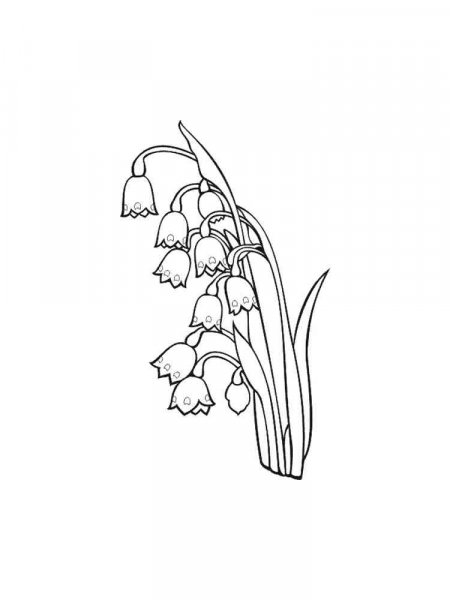 Lily of the valley coloring pages