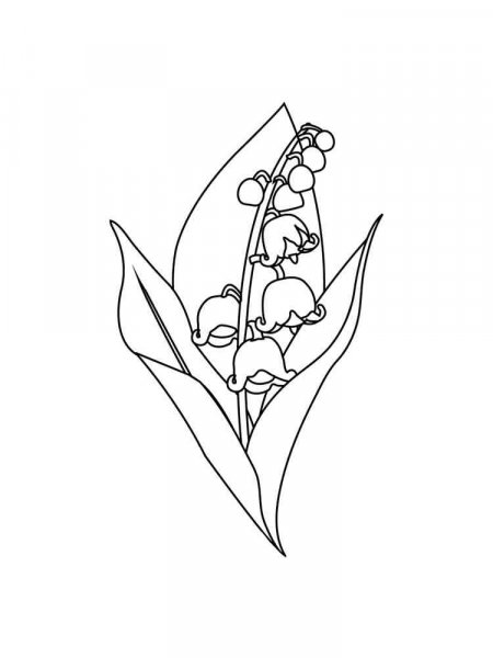 Lily of the valley coloring pages