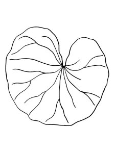 Lilypads coloring page 1 - Free printable