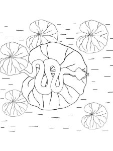 Lilypads coloring page 4 - Free printable