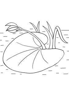 Lilypads coloring page 5 - Free printable