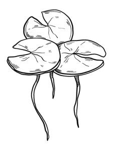 Lilypads coloring page 7 - Free printable