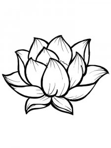 Lotus coloring page 11 - Free printable