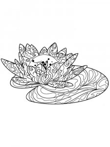 Lotus coloring page 13 - Free printable