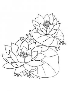 Lotus coloring page 14 - Free printable
