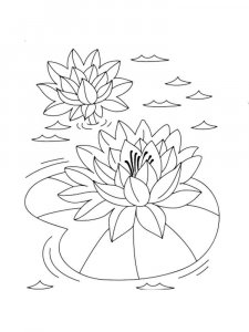 Lotus coloring page 15 - Free printable