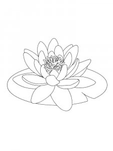 Lotus coloring page 16 - Free printable