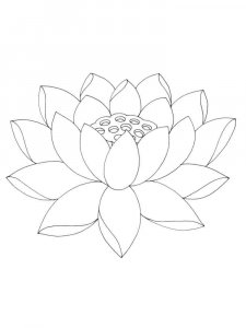 Lotus coloring page 17 - Free printable