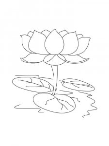 Lotus coloring page 19 - Free printable