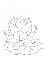 Lotus coloring page 2 - Free printable