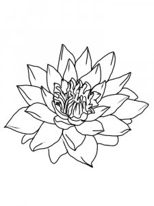 Lotus coloring page 20 - Free printable