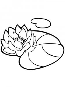 Lotus coloring page 25 - Free printable