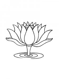 Lotus coloring page 5 - Free printable