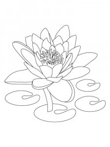 Lotus coloring page 8 - Free printable