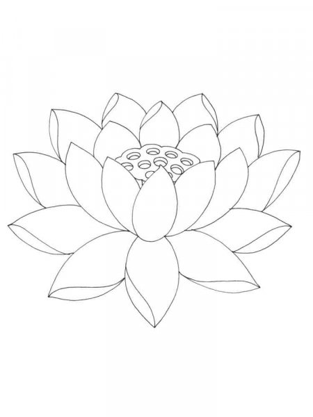 Lotus coloring pages