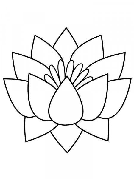 Lotus coloring pages