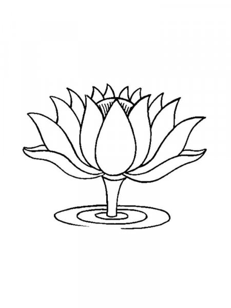 Lotus coloring pages