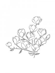 Magnolia coloring page 21 - Free printable