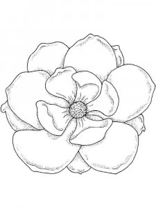 Magnolia coloring page 1 - Free printable