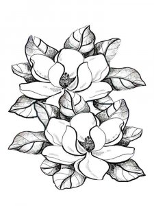 Magnolia coloring page 10 - Free printable