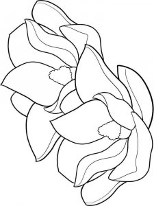 Magnolia coloring page 3 - Free printable