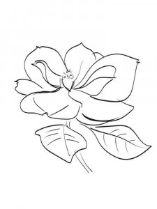 Magnolia coloring page 5 - Free printable