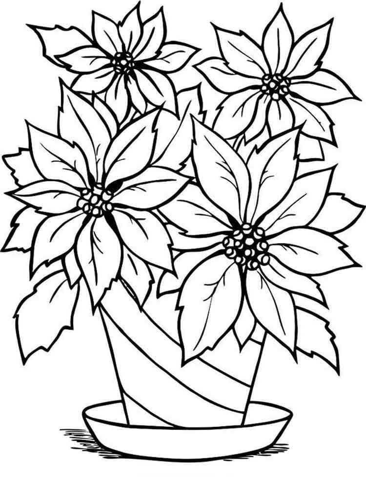 Download Poinsettia Flower coloring pages. Download and print ...