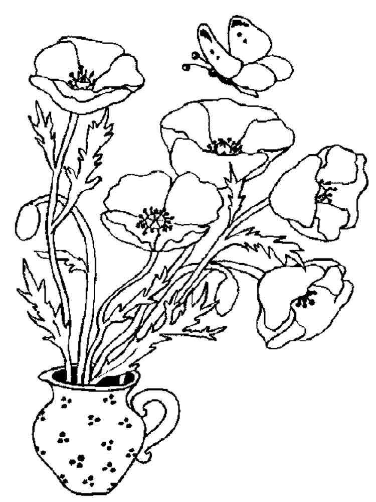 Poppy Flower coloring pages. Download and print Poppy Flower coloring pages