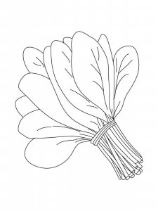 Spinach coloring page 2 - Free printable