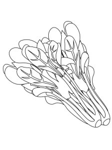 Spinach coloring page 3 - Free printable