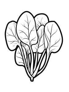 Spinach coloring page 4 - Free printable