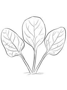 Spinach coloring page 6 - Free printable