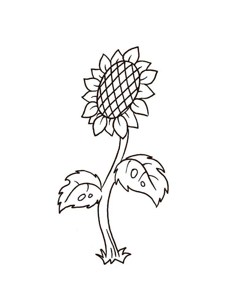 Sunflower coloring pages. Download and print Sunflower ...