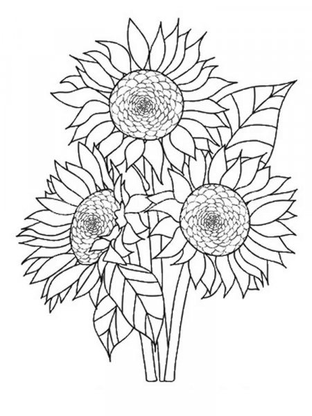 Sunflower coloring pages