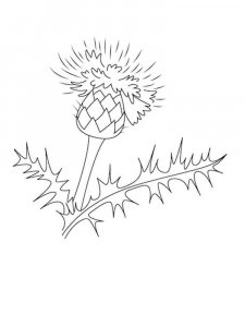 Thistle coloring page 4 - Free printable